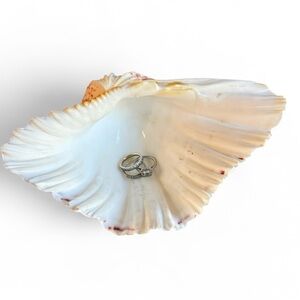 Vintage Large Bear Paw Clam Shell